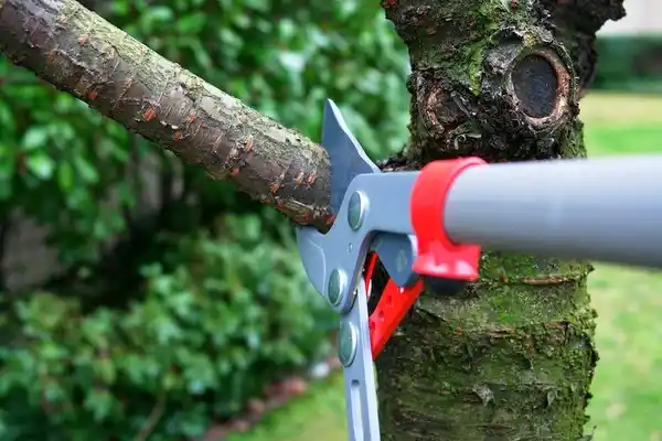 tree services Gates